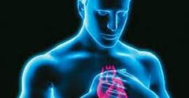 Ученые нашли способ восстановить сердце после инфаркта