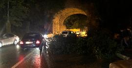 Упавшее дерево перегородило дорогу в Кисловодске