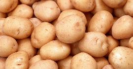 7 признаков плохого молодого картофеля