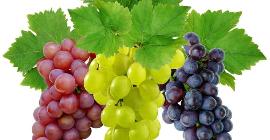 Полезные свойства винограда, о которых мало кто знает
