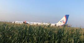 Самолет с 233 людьми аварийно сел на поле в Подмосковье