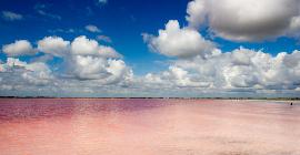 Розовое озеро в Сибири: 31 кв. км солёной красоты