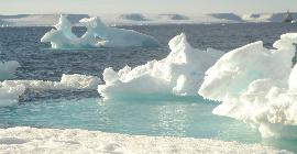 Из-за пожаров в Сибири льды в Арктике стали таять сильнее