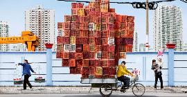 Китаец построил своему будущему сыну дом из просроченной лапши