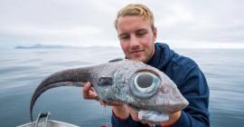 Норвежский рыбак выловил рыбу-мутанта, которая на поверку оказалась европейской химерой
