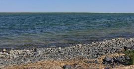 Аральское море: причины усыхания и уже наступившие последствия