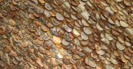 Несколько деревьев, полных монет, было обнаружено в английских лесах национального парка Peak District