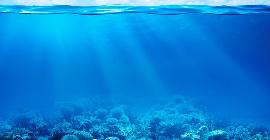 Тест: как хорошо вы знакомы с мировым океаном