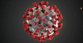 Итальянская мафия планирует устроить бунты из-за коронавируса