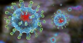 Профилактические меры в период пандемии: вирусу не победить