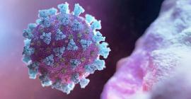 В Великобритании ожидают смертность от коронавируса ниже, чем от гриппа