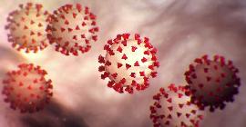 В Китае обсуждают новый метод лечения от коронавируса