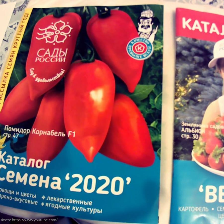 семена сады россии интернет магазин каталог 2022