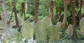 Города мертвых: викторианская одержимость кладбищами