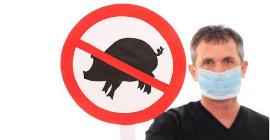 Будет ли свиной грипп следующей пандемией? Новое исследование ученых Университета Бата