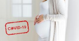 COVID-19 и беременность: что мы знаем о том, что происходит с иммунной системой
