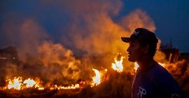 Борьба с огнем с помощью торговли или как Европа может помочь спасти Амазонку