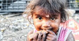 Нобелевская премия мира: голод – это оружие войны, но Мировая продовольственная программа не может построить мир самостоятельно