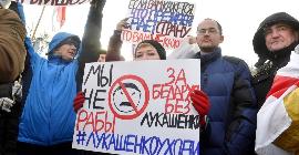 Более 500 человек задержано в результате жестокого подавления протестов в Беларуси