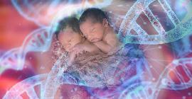 Редактирование ДНК человеческих эмбрионов может защитить нас от будущих пандемий