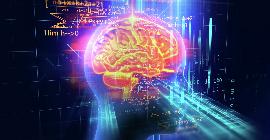 Ученые Кембриджского университета назвали шесть способов, которые помогут «перезагрузить мозг» после тяжелого года COVID-19