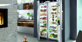 Лучшие холодильники для дома