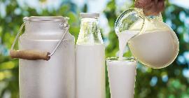 Рак груди: является ли коровье молоко фактором риска?