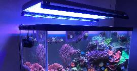 ТОП-10 лучших ламп для аквариумов