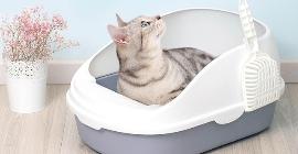 ТОП-10 лучших предложений наполнителей для кошачьего туалета