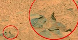 Грибы на Марсе? Пять бездоказательных утверждений о существовании инопланетной жизни