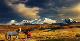 Внутренняя Монголия: богатство, полученное в пустыне за большие деньги