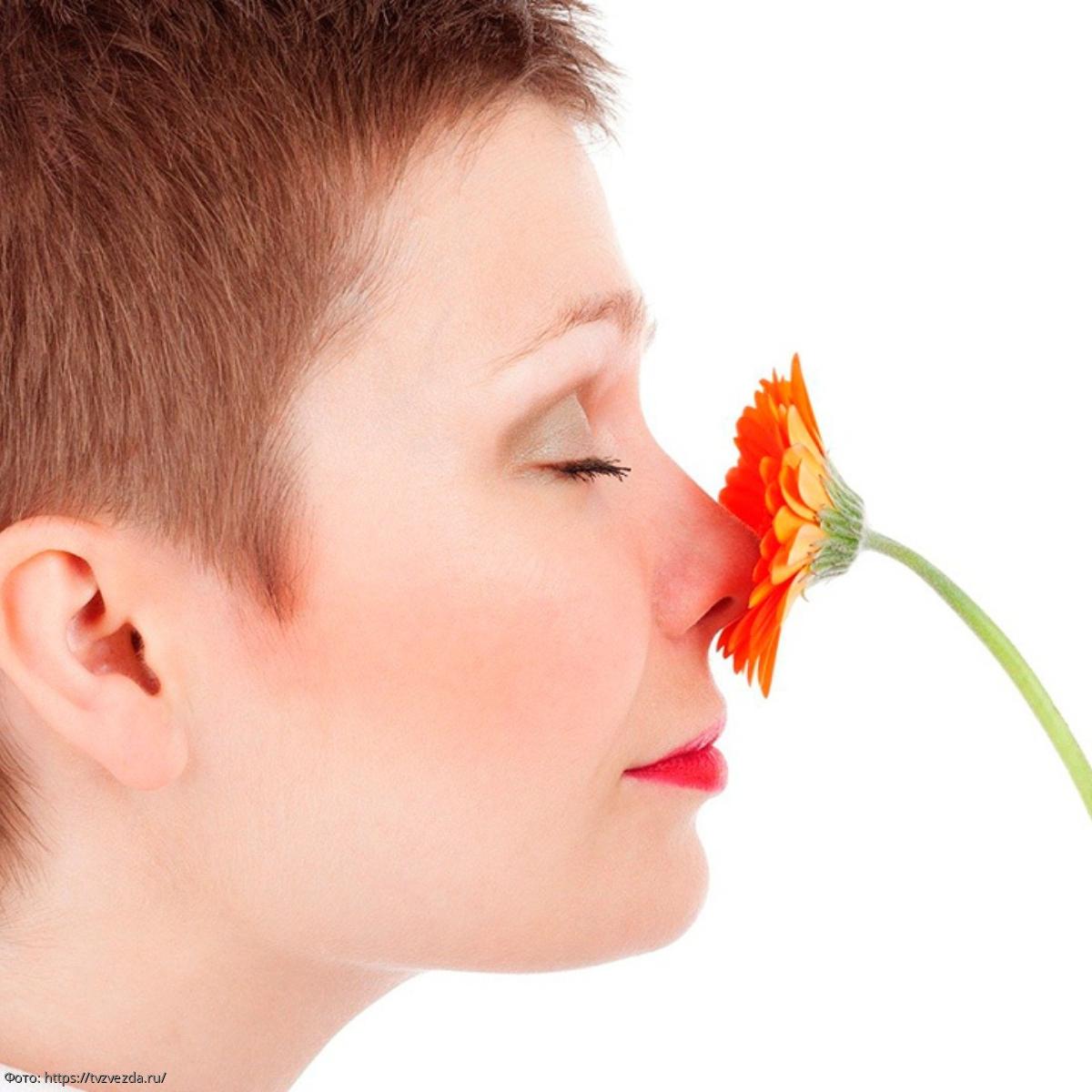 Новый электронный нос выявляет рак из плазмы с точностью 90%