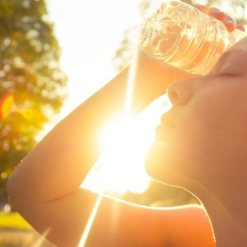 Каждая третья смерть от жары с 1991 года связана с изменением климата. Как еще потепление влияет на наше здоровье