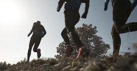 Ультрамарафонский бег: насколько безопасен этот вид спорта?