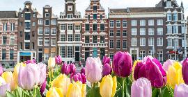 Амстердам создает модель того, как должен выглядеть туризм после COVID