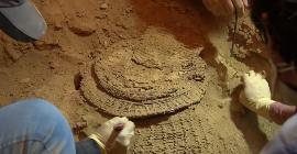 Свитки Мертвого моря: что откроют недавно обнаруженные артефакты из Пещеры ужасов?