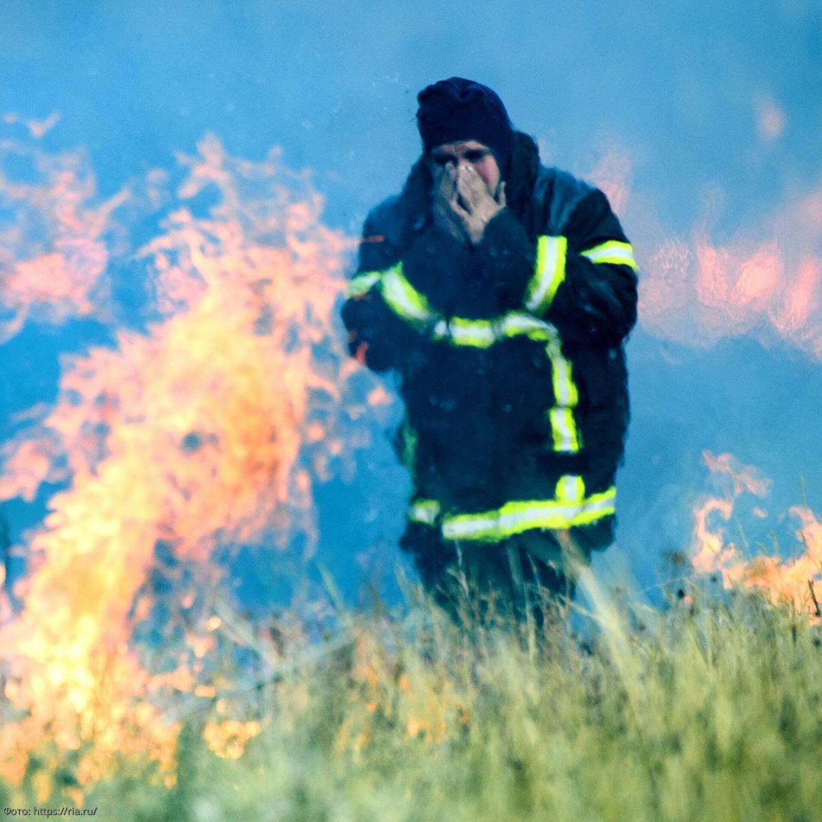 Лесные пожары во Франции уничтожили одну из самых уникальных точек биоразнообразия в Европе