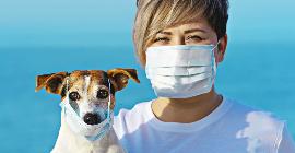 COVID: что произойдет, если у домашних животных появится гораздо более опасный коронавирус?