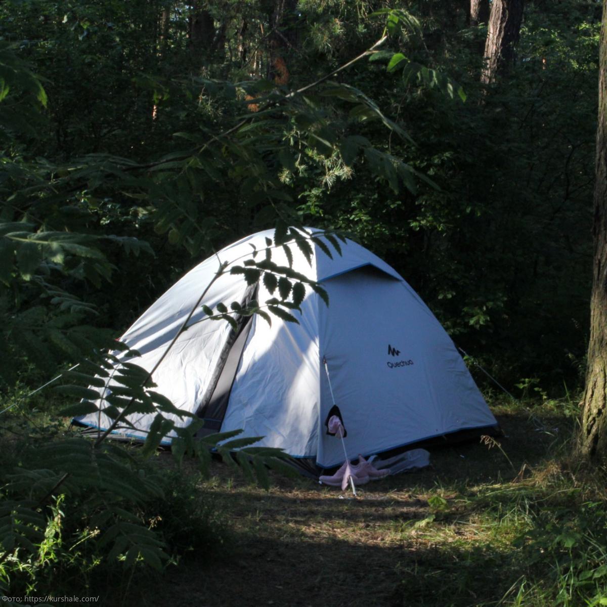 Орловское Полесье с палатками