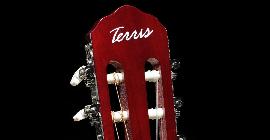 Рейтинг лучших акустических гитар Terris