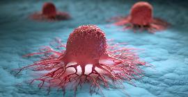 У рака тоже есть свои слабые места: генетики обнаружили ахиллесову пяту опухолей