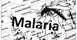 Половина людей в мире может подвергнуться большему риску заражения малярией