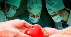 Имплант в нужном месте: наконец-то создана функциональная модель искусственного сердца