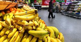 Горькая правда о сладких бананах: пестициды, тонны отходов и изнурительный труд