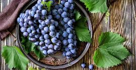 Эксперты подтверждают: Виноград поддерживает разнообразие микрофлоры и снижает уровень холестерина