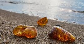 «Апельсиновый» клад: холодные пляжи под Калининградом заполонили охотники за янтарем
