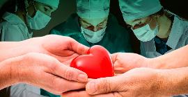 Революция в трансплантации? Канадским ученым удалось «обнулить» группу крови