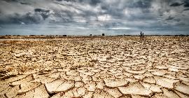 Засуха на юго-западе США стала самой сильной за последние 1200 лет