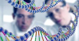 Исследователи впервые расшифровали полный геном человека
