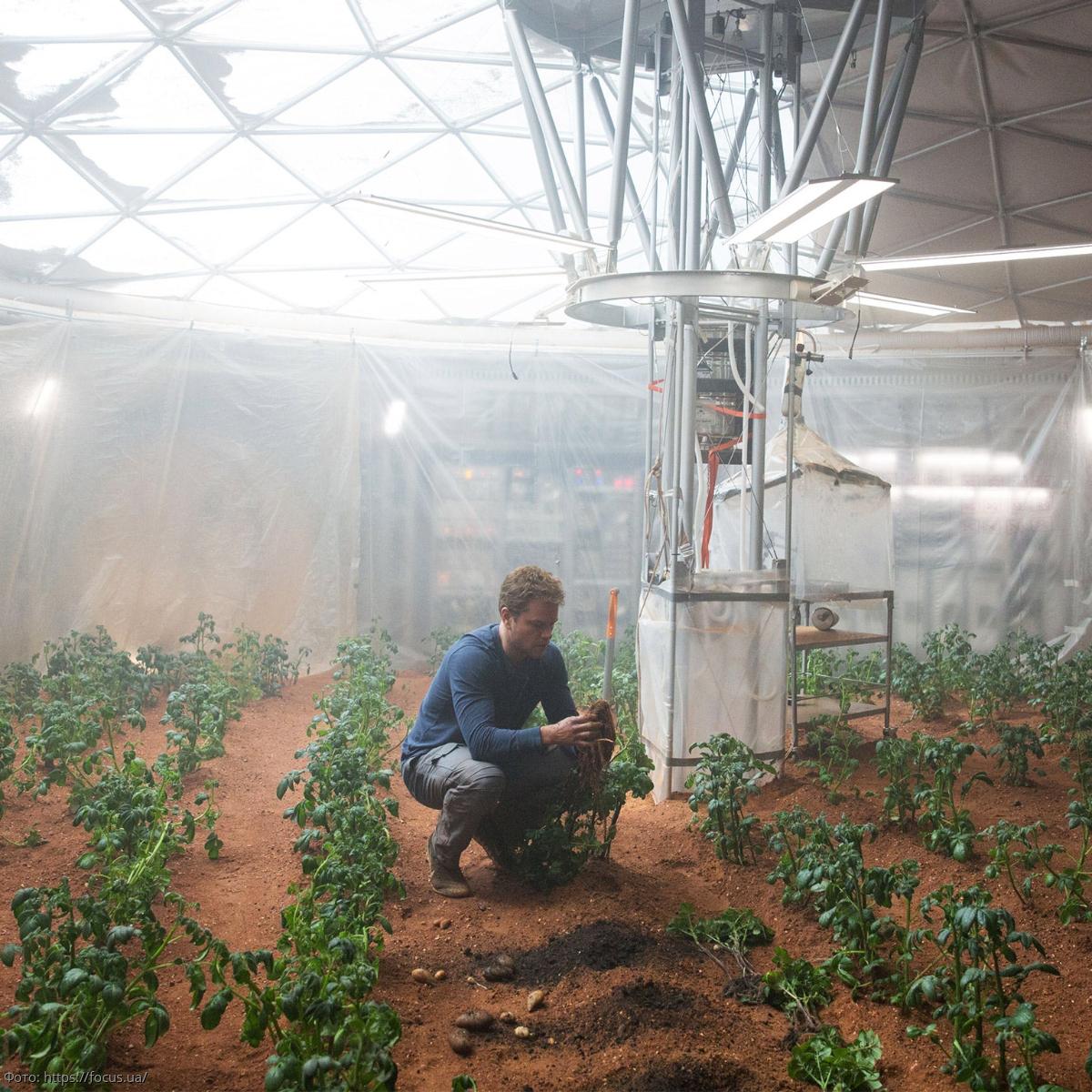 Кетчуп Красной планеты: астробиологи уже готовятся к колонизации Марса